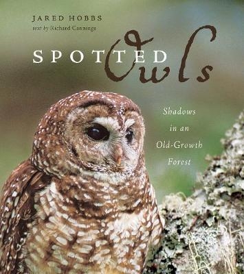 Spotted Owls - 