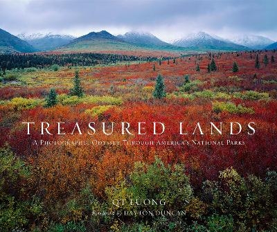 Treasured Lands - Qt Luong