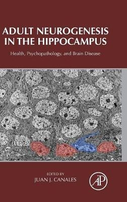 Adult Neurogenesis in the Hippocampus - 