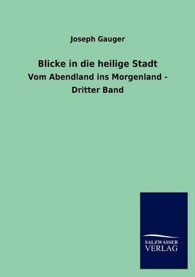 Blicke in die heilige Stadt - Joseph Gauger