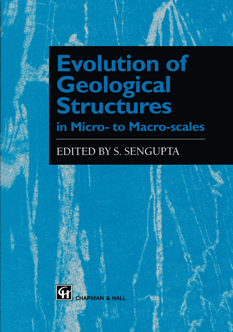 Evolution of Geological Structures in Micro- to Macro-scales - 