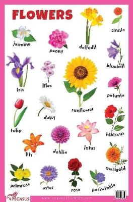 Flowers Educational Chart -  Pegasus