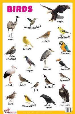 Birds Educational Chart -  Pegasus