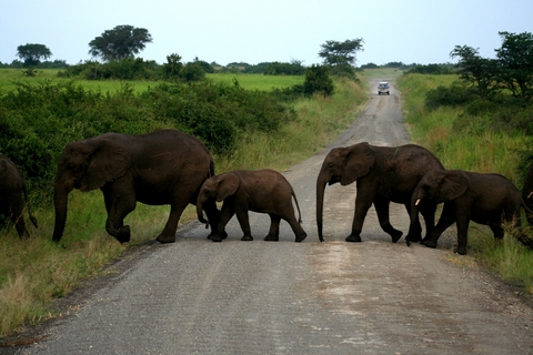 Uganda - Menschen, Tiere und Landschaften - Hartmut Rothgänger, Ute Hentschel