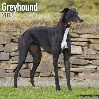 Greyhound Calendar 2018 -  Avonside Publishing Ltd