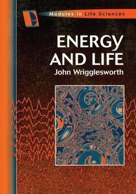 Energy And Life - John Wrigglesworth