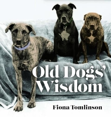 Old Dog Wisdom - Fiona Tomlinson