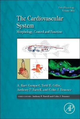 The Cardiovascular System - 