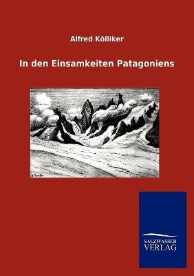 In den Einsamkeiten Patagoniens - Alfred Kölliker