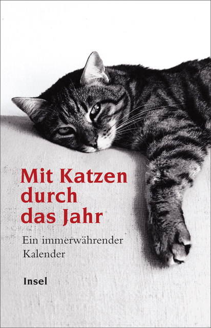 Mit Katzen durch das Jahr - 