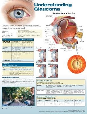 Understanding Glaucoma Anatomical Chart