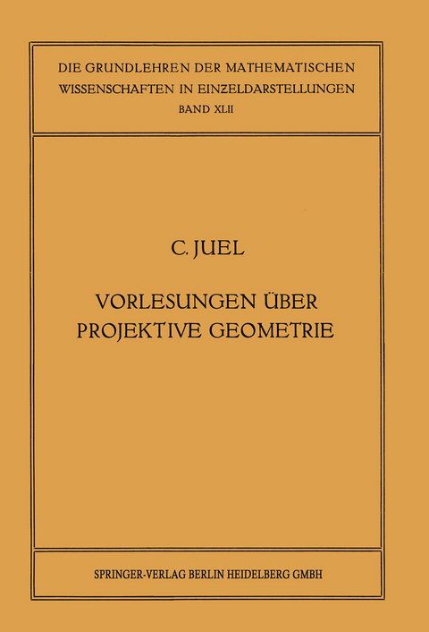 Vorlesungen über Projektive Geometrie - Christian Juel