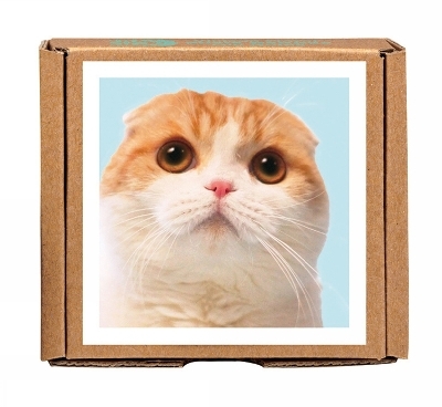 Waffles the Cat GreenGift-Notes - 