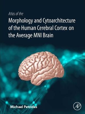 Atlas of the Morphology of the Human Cerebral Cortex on the Average MNI Brain - Michael Petrides