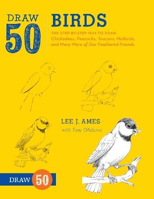 Draw 50 Birds - L Ames