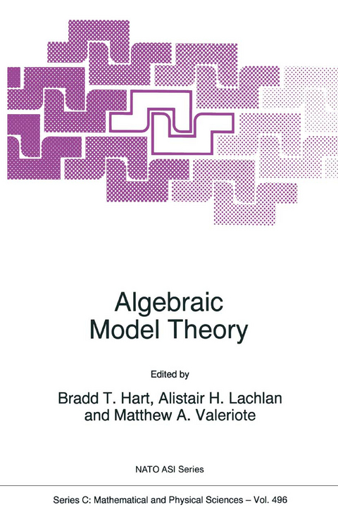 Algebraic Model Theory - 