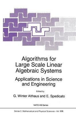 Algorithms for Large Scale Linear Algebraic Systems: - 