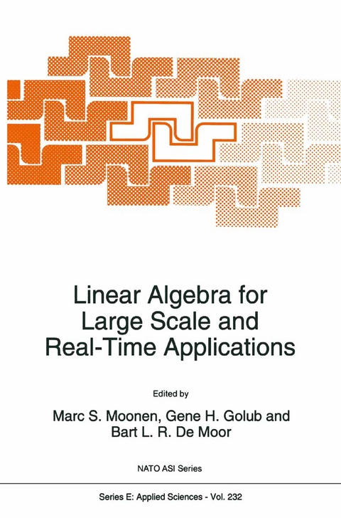 Linear Algebra for Large Scale and Real-Time Applications - 