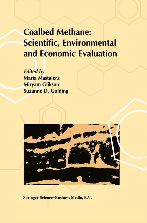 Coalbed Methane: Scientific, Environmental and Economic Evaluation - 