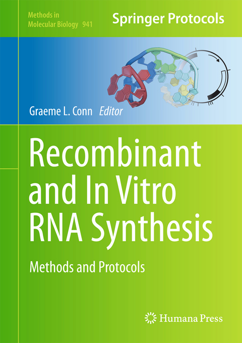 Recombinant and In Vitro RNA Synthesis - 