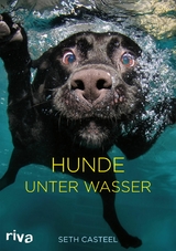 Hunde unter Wasser - Seth Casteel