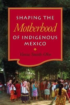 Shaping the Motherhood of Indigenous Mexico - Vania Smith-Oka