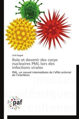 Role et devenir des corps nucleaires PML lors des infections virales - Tarik Regad