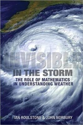 Invisible in the Storm - Ian Roulstone, John Norbury