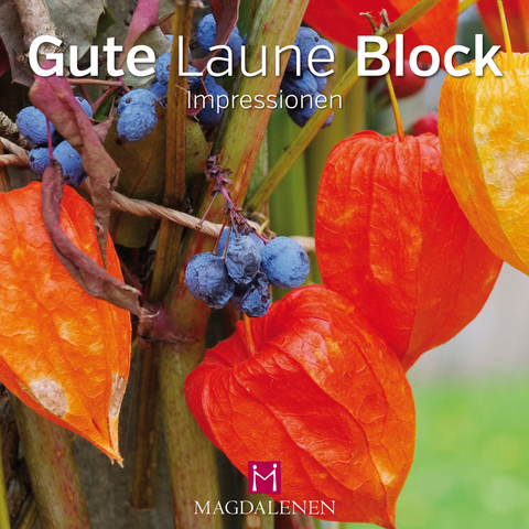 Gute Laune Block Impressionen