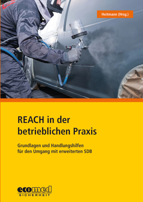 REACH in der betrieblichen Praxis - Monika Bless, Gabi Büttner, Florian Gehlhaar, Kerstin Heitmann, Eileen Kranz, Nils Pagels, Susanne Zahn