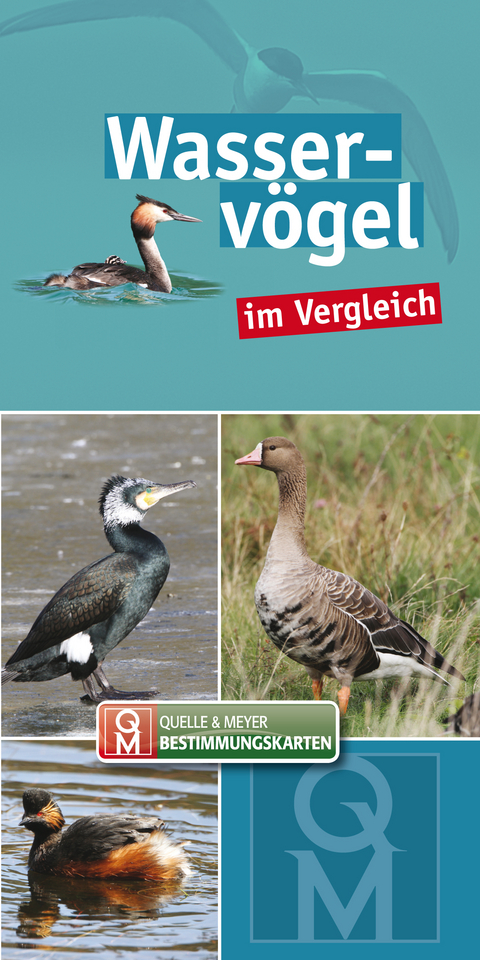 Wasservögel im Vergleich