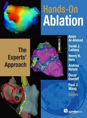 Hands-On Ablation: The Expert's Approach - Amin Ed Al-Ahmad