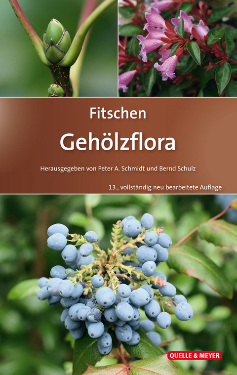 Fitschen - Gehölzflora - 