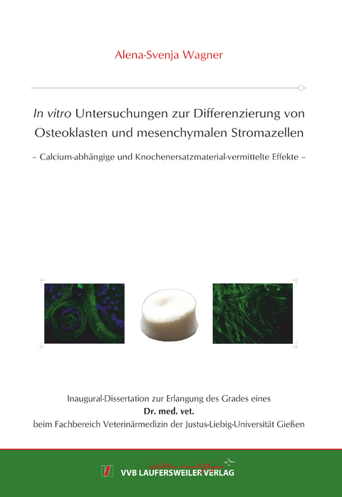 In vitro Untersuchungen zur Differenzierung von Osteoklasten und mesenchymalen Stromazellen - Alena-Svenja Wagner