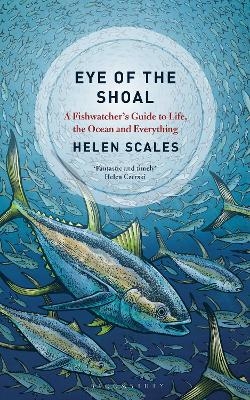 Eye of the Shoal - Helen Scales