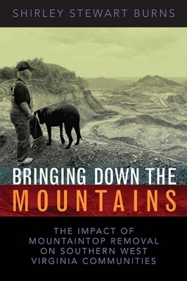 Bringing Down the Mountains - Shirley S. Burns