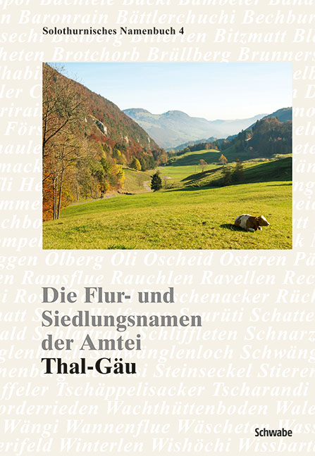 Die Flur- und Siedlungsnamen der Amtei - 