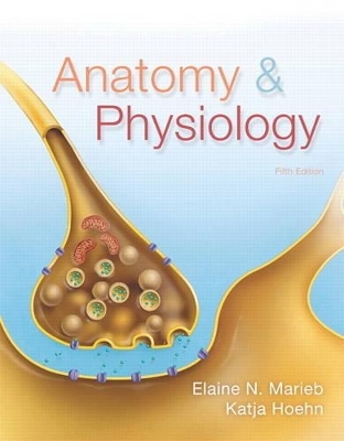 Anatomy & Physiology Plus MasteringA&P with eText -- Access Card Package - Elaine N. Marieb, Katja N. Hoehn