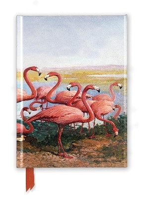 Gerritt Vandersyde: Flamingoes (Foiled Journal) - 