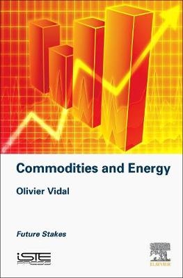 Mineral Resources and Energy - Olivier Vidal