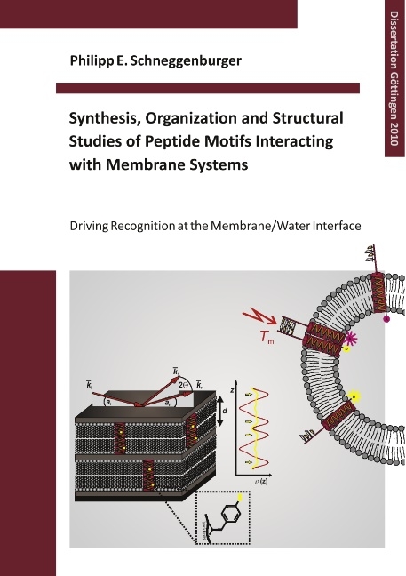 Synthesis, Organization and Structural Studies of Peptide Motifs Interacting with Membrane Systems - Philipp E Schneggenburger