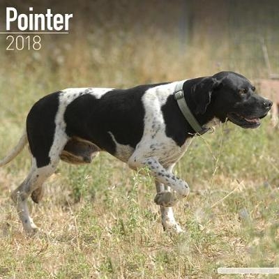 Pointer Calendar 2018 -  Avonside Publishing Ltd