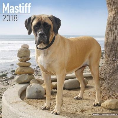 Mastiff Calendar 2018 -  Avonside Publishing Ltd