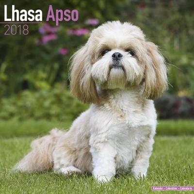 Lhasa Apso Calendar 2018 -  Avonside Publishing Ltd