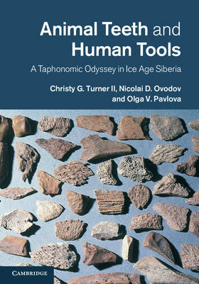 Animal Teeth and Human Tools - Christy G. Turner II, Nicolai D. Ovodov, Olga V. Pavlova