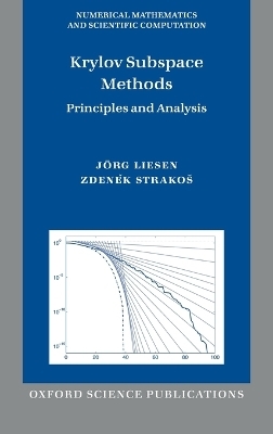 Krylov Subspace Methods - Jörg Liesen, Zdenek Strakos