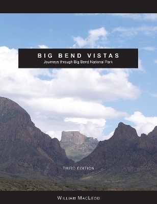 Big Bend Vistas - William MacLeod