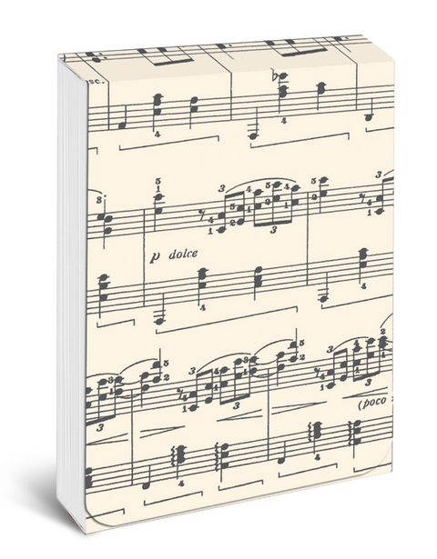 Pocket Notes: Sheet Music – Notizblock im praktischen Taschenformat: Musiknoten