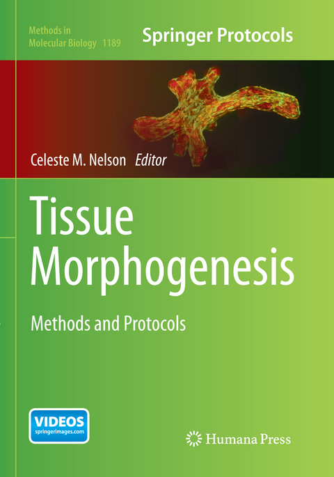 Tissue Morphogenesis - 