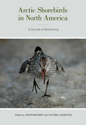 Arctic Shorebirds in North America - 